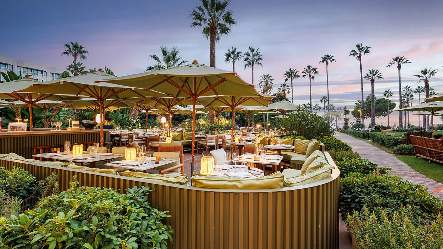 Mr Nakamoto Japanese restaurant Mondrian Cannes with fresh sushi seafood and steaks